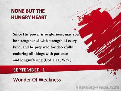 Wonder Of Weakness